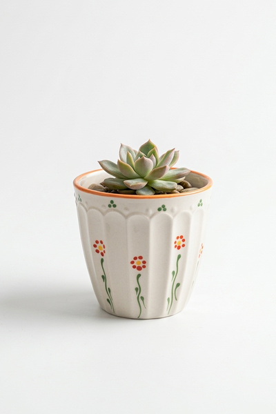 evcime El Yapımı Büyük Boy Seramik Saksı - Çiçek Desenli Kabartmalı (12 cm)
