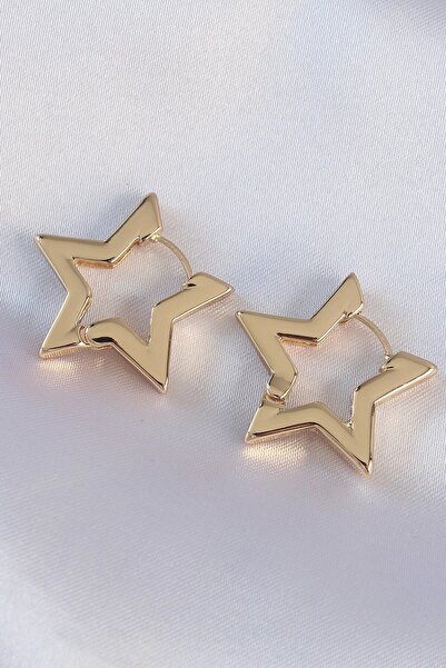 Leyaton Brass Gold Color Star Earrings