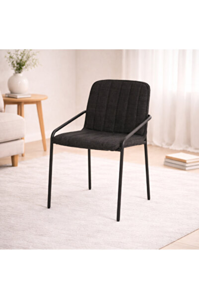 Palma homez Modern Cafe Chair