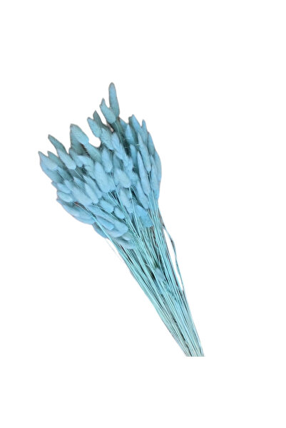 Craft for Joy Lagurus Blue, aprox 100g