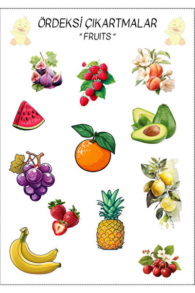 Portakal Sulu Ördek Meyveler Çıkartma / Sticker