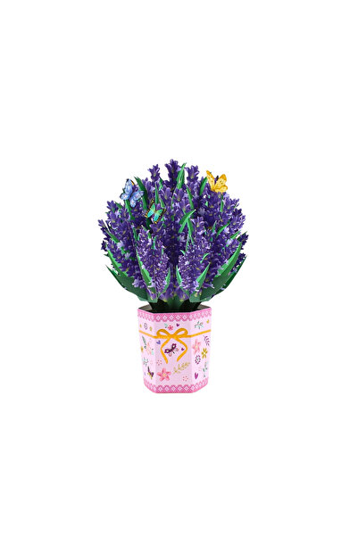 Gift Design Μαγικά Αναδυόμενα Στοιχεία Διακόσμησης από Χαρτί με Λεβάντα