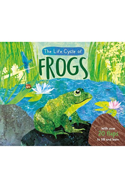 North Parade Publishing Life-cycle Books - Frogs