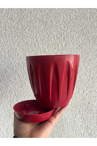 Asenya Papatya Saksı 1 Adet 1,5 Lt kırmızı Renkli Saksı Plastik Saksı Çiçek S...