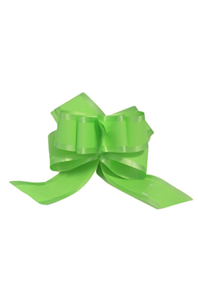 Gift Design Light Green Self-Shaping Flower Bow