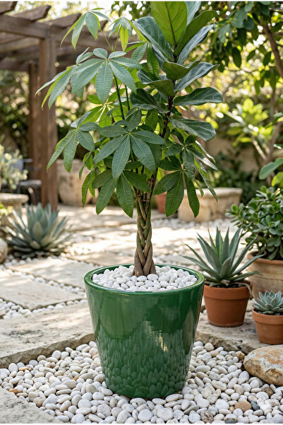 EFFE POT & DECORATİON Olivia Model Dekoratif Fiber Saksı 42x36cm