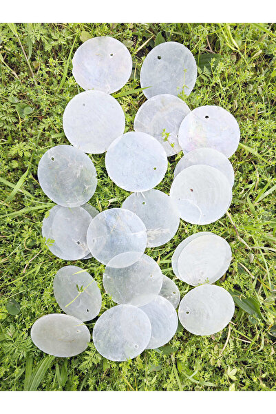 evinizdeki okyanus esintisi turkuaz hediyelik 100 GR CAPIZ PUL 5 CM ÇAP-TEK D...