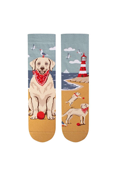 Pirin Hill Arty Socks βαμβακερές κάλτσες με Γκόλντεν Ριτρίβερ