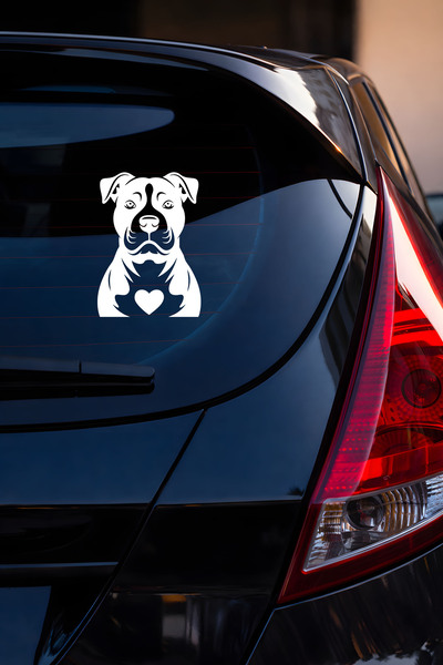 MIGNATIS Dog Sticker – Pitbull Design - Car Auto Motor Sticker 15X11Cm