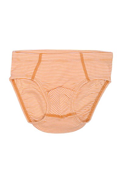 OrganicKid Jungle Erkek Çocuk Slip 3'lü Set