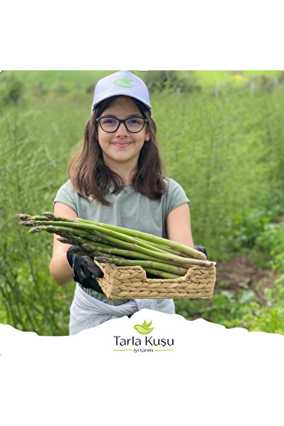 TARLA KUŞU Taze Kuşkonmaz 2 Bağ x 300 gr