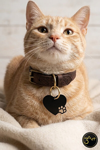3Art Metal Dekorasyon Tic.Ltd.Şti Cat Dog Tag – Paw & Bone Design Collar Tag