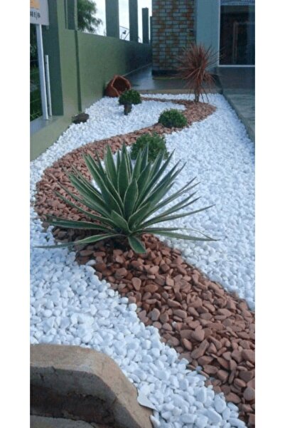 Asenya Dolomit Taş 25 Kg 2-4 Cm Dere Taşı Çakıl Taşı Bahçe Süs Taşı Dolamit T...