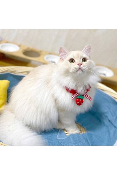BurDen Dekoratif Ürünler & Tasarım Strawberry Cat Necklace / Collar & Accessory, Phenomenon Cat, Handmade Knitted