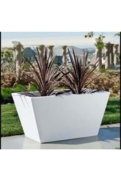 SAKSI ADASI Dekoratif Fiber Saksı