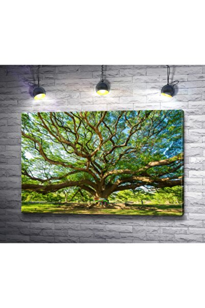 Piri Kanvas Tablo Büyük Yeşil Mutluluk Ağacı Dekoratif Kanvas Tablo
