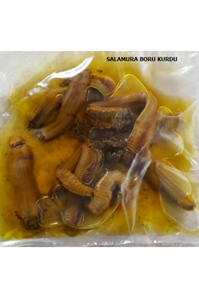 YakamozAv Salamura Boru Kurdu 2 Adet