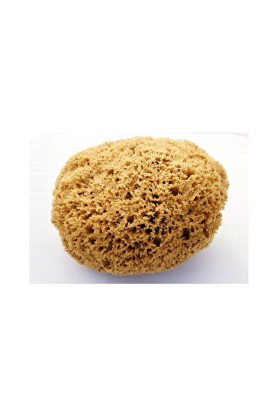 FOÇA ORGANİK Deniz Süngeri (1.KALİTE) %100 Naturel 500 Gr. Toptan Satış