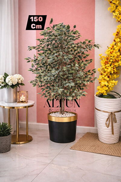 Altun Çiçekcilik Benjamin Ağacı 150 Cm Lux Metal Dahil