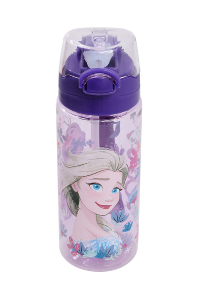 Frozen FRZ MTR OTTO.45484 5PR Mor Kız Çocuk Matara
