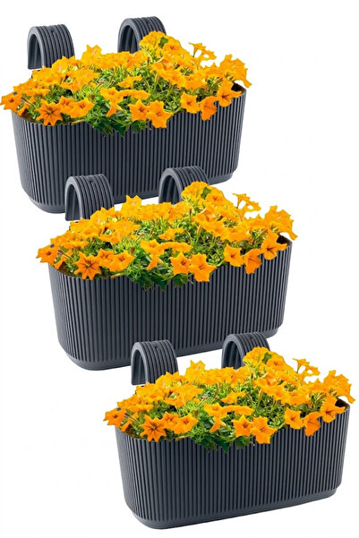 TEMMUZ HOME 3 Adet Pera Askılı Balkon Ve Küpeşte Saksısı Plastik Kelepçeli As...