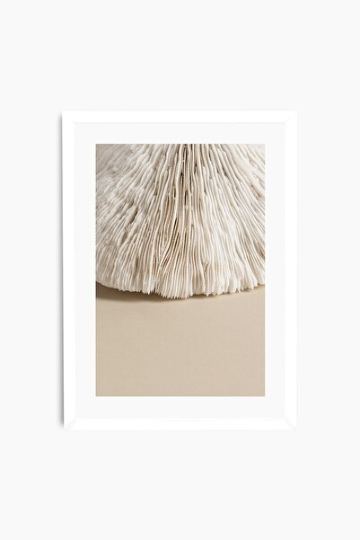 Raven Art Studio Natural Coral Table + Frame