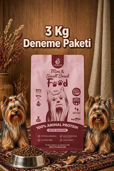 Anatolion Pet Foods Anatolion Mini Küçük Irk Somonlu Eklem Destekli Super Pre...