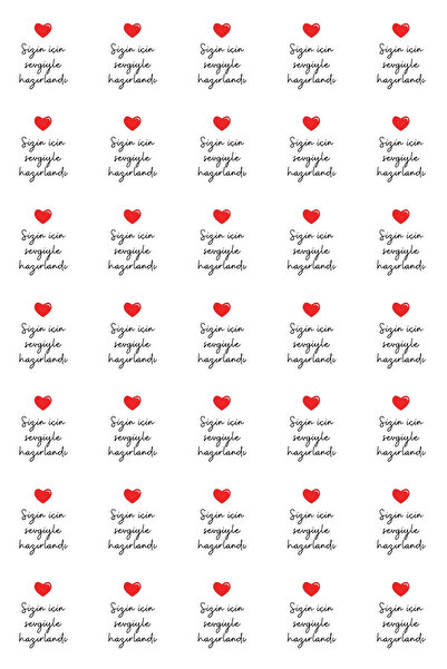 Bimotif 25li Sticker, İp ve Hediye Poşeti Seti (25 Şeffaf Poşet 15x25 cm, 25 m Paket İpi, 35 adet Sticker)