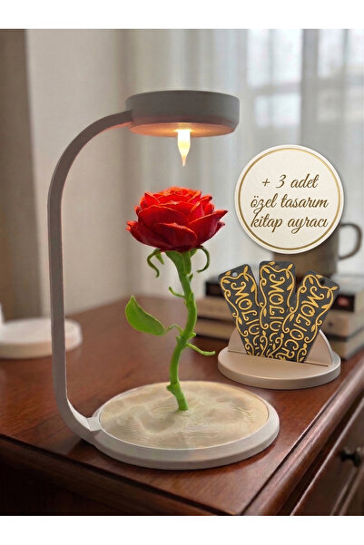 Moliocraft Dekoratif Gül Lamba - Ledli Masa Lambası - Sevgililer Günü, Yıldön...