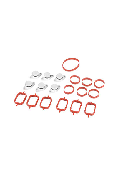 RG Parts Kit reparare clapetă galerie admisie 6 dopuri 22mm BMW 2.0D/2.5D/3.0D