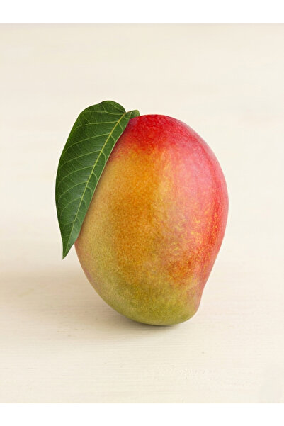 ALPÖZ ORGANİK Süper Kalite Mango Meyve 1 Adet