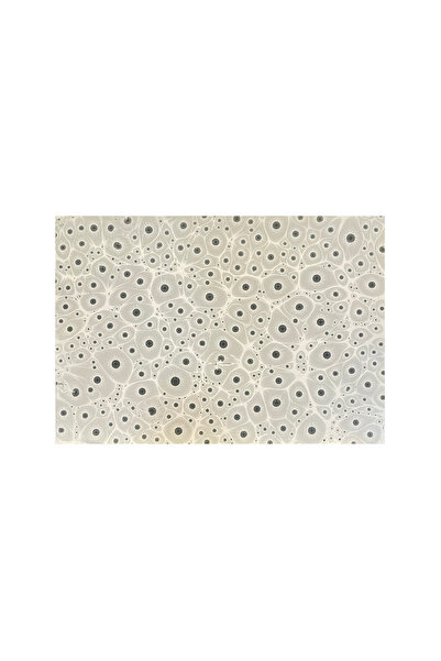 VERA SANAT Nedim Sönmez Original Handmade Marbling Paper -1 Tiger Eye Gray