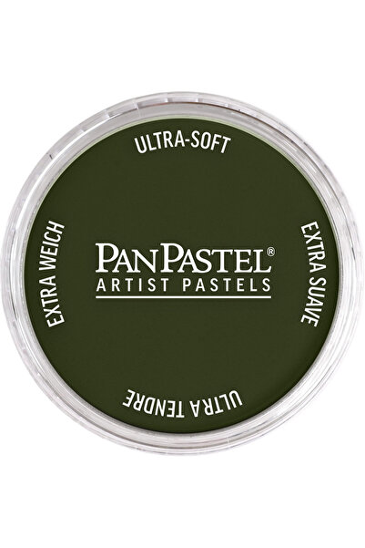 Panpastel Pp 660.3 Chrome. Ox. Grn Shade