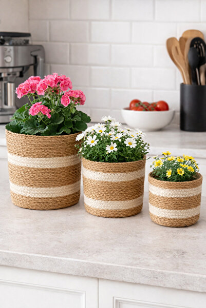 ADA Ahşap oyma ve çerçevecilik Hasır Saksı 3lü Mini Set