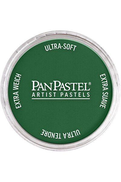 Panpastel Pp 640.1 Perm. Grn Extr.D.