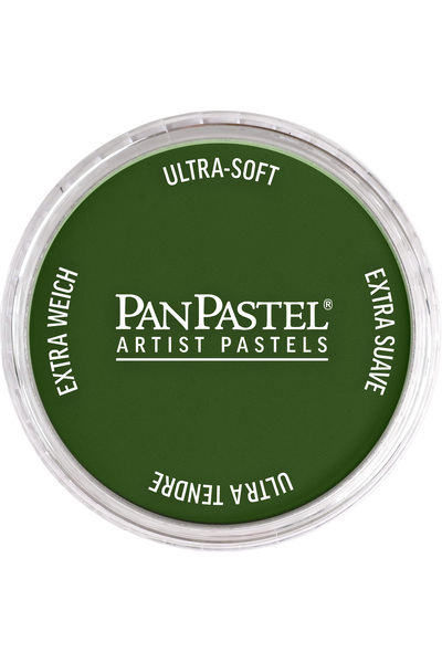 Panpastel Pp 660.5 Chromium Oxide Green