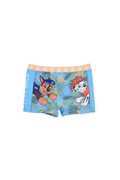 PAW PATROL Stay Wild Boxer Briefs