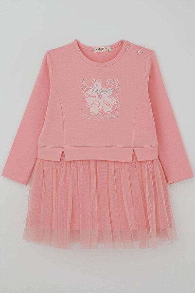 Breeze Girls' Long Sleeve Dress with Floral Print and Tulle, 2-6 Years, Pink