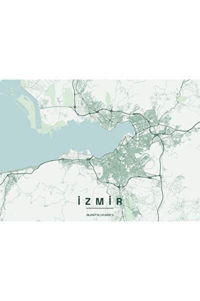 Cartono Maps Kişiye Özel Şehir Haritası Posteri