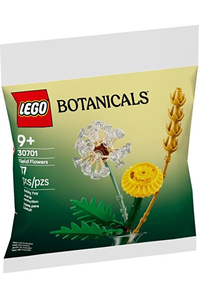 LEGO ΒΟΤΑΝΙΚΑ FLORI DE CAMP 30701