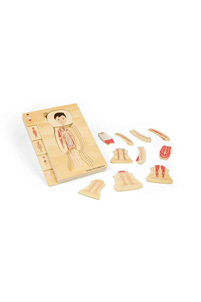 BIGJIGS Toys Puzzle Anatomic Din Lemn - Baiat