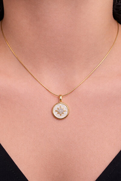 AltıntaşAksesuar Zircon Stone Star Detailed Steel Non-Tarnish Necklace