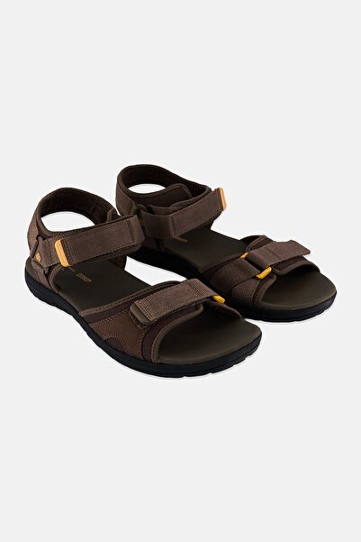 CLARKS Men Standard Velcro Closure Sandal, Brown