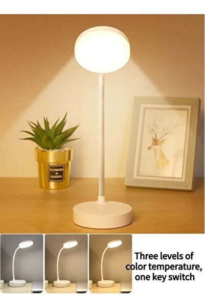 Yelajoy USB Rechargeable LED Eye Protection Table Lamp, Dimmable Three Colors...