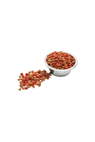 OEM Hrana uscata pentru Pisici Wise Cat – Curcan 400g