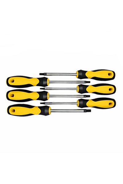 Rico Torx Uçlu Tornavida Takımı Delikli 6 Parça