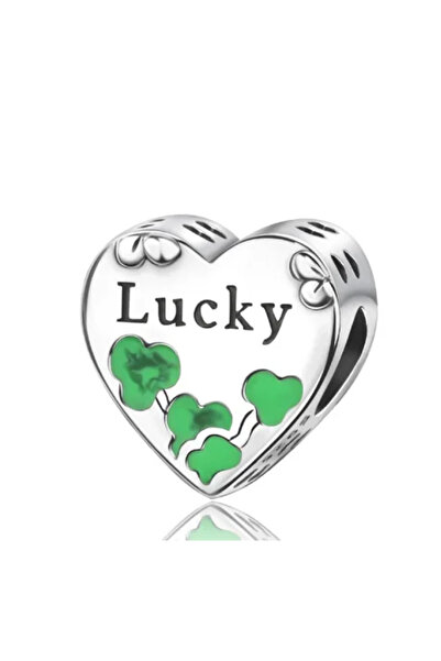 Choice12 CCT991 New Heart-Shaped Charms 925 Sterling Silver Flower Forever Lo...