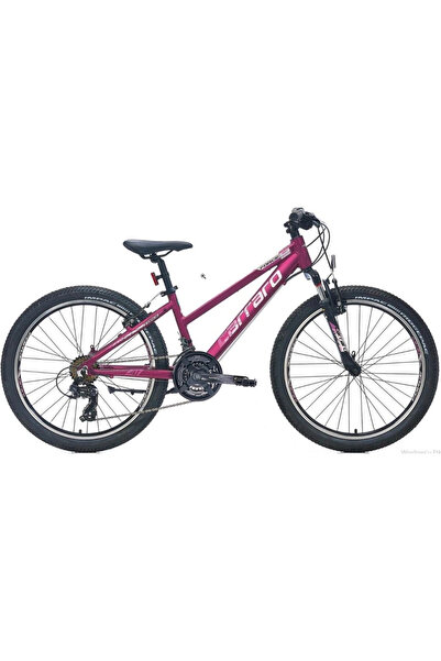 Carraro Force 401 24 Jant 21 Vites V Fren Dağ Bisikleti Mat Mürdüm Pembe