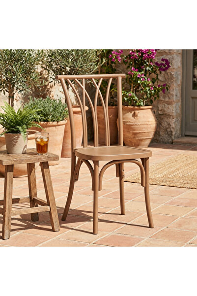 DEC4 Elegant Design Single Chair in Trendy Color