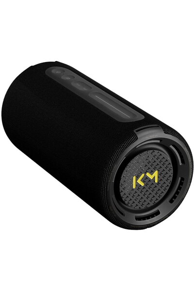 Loewe We Hear Pro Portable Speaker, 50 W, Bluetooth, USB-C, IPX6, Black